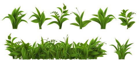 Realistic fresh green grass, weed and herb leaves. Spring plant tufts and bushes. Summer field, garden lawn or meadow vegetation vector set