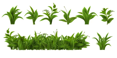 Fotobehang Realistic fresh green grass, weed and herb leaves. Spring plant tufts and bushes. Summer field, garden lawn or meadow vegetation vector set © Tartila