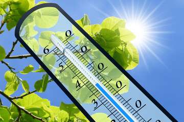 Thermometer 135