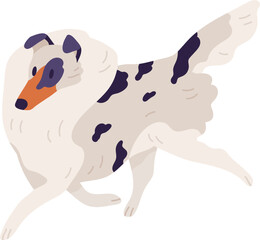 Small Dog of Sheltie Breed Illustration