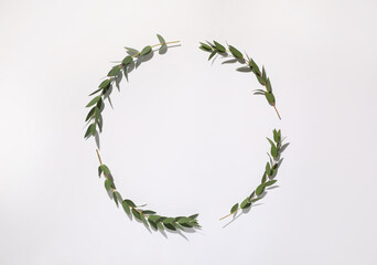 Eucalyptus branches with fresh green leaves on white background, top view. Space for text