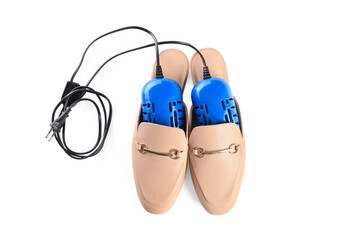 Pair of stylish shoes with modern electric footwear dryer on white background, top view