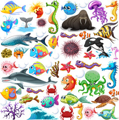 Different types of sea animals