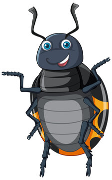A ladybug cartoon character isolated