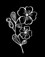 a twig with flowers and leaves of white color on a black background