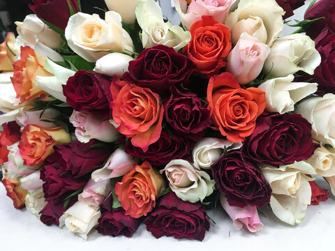 Close-up lying bouquet of multi-colored fresh roses