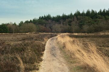 Fototapeta premium Hiking trail in a wide moorland landscape in a nature reserve in winter.