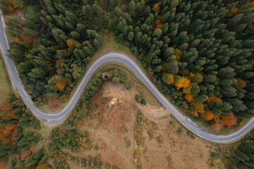 Aerial view of beautiful forest and empty road on autumn day