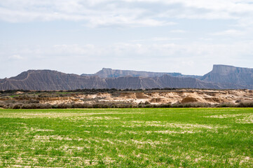 Panoramic view of the bardenas desert in spring