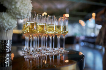many glasses of champagne stand on a bar counter on a blurred background. a row of sparkling wine...