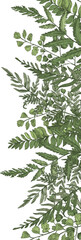 Fern Botanical Hand Drawn Border or Frame © Good Studio
