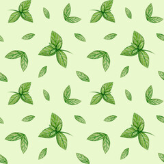 Colorful seamless pattern with mint leaves. Watercolor hand drawn design
