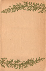 Old vintage rough paper background with green plant relief texture