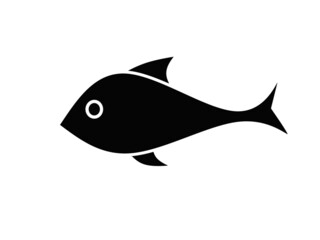 carp icon vector. fish icon on white background