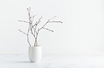 Branches in a white vase