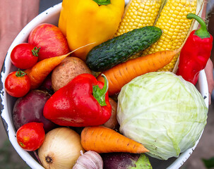 Hands hold a large plate with various fresh agricultural vegetables. Autumn harvest and healthy organic food concept.