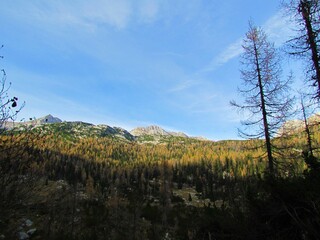 View of an alpine landscape with the peak of Plaski Vogel in the back and autumn or fall golden...