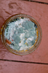 mold on the jam,spoiled canned food in a jar with mold, fungal bacteria