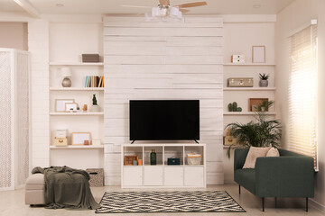 Modern TV on cabinet, comfortable sofa and decor elements in living room