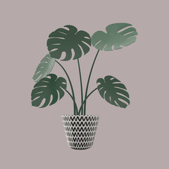 3d rendering illustration plant in the pot. Modern trendy minimalistic design. Isolated on background. Pastel colors.