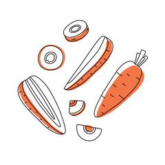 Carrot Doodle Vector Set – Whole and Sliced Pieces – Hand Drawn Outline for Farm Produce, Recipes, and Food Packaging