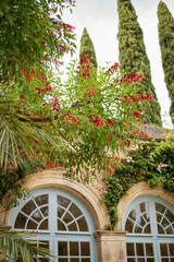 un bâtiment ancien et de la végétation fleurie dans le sud de la France