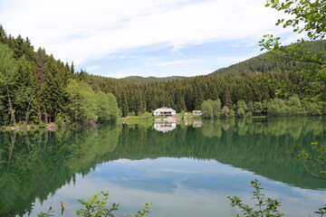 Obraz premium magnificent lake view in the forest.ARTVİN.TURKEY