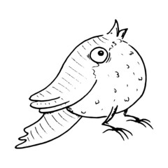 Bird cartoon sketch hand drawn. Vector illustration of a singing bird.