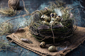 Nest with quail eggs for Easter and blooming branches on black background