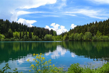 Fototapeta premium magnificent lake view in the forest.ARTVİN.TURKEY