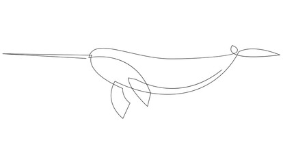 Single continuous line drawing of narwhal for logo identity. Narwhale animal mascot concept. One line draw design vector graphic illustration. © ad_stock