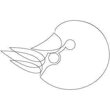 recommend clip art: Nautilus animal one line drawing. Contour on white background. Vector illustration