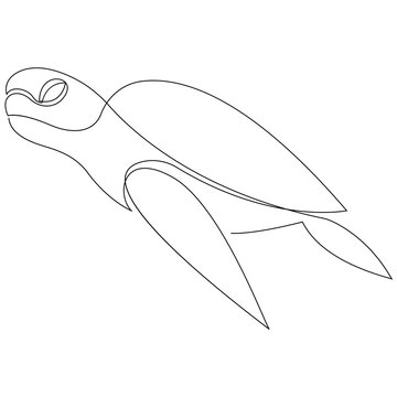Minimal drawing of sea turtle animal drawn by single continuous line. Vector design isolated on white background.