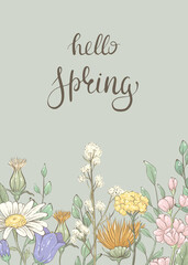 Hello spring. Card with spring flowers