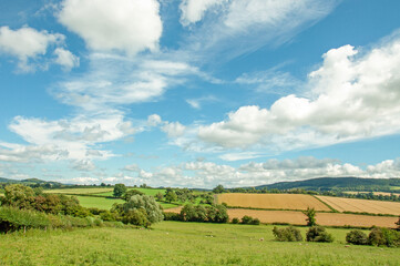 Fototapeta na wymiar Summertime scenery around Herefordshire, England.