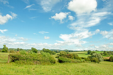 Fototapeta premium Summertime scenery around Herefordshire, England.