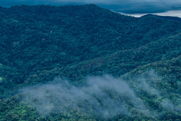 Natural blurred background of fog scattered among trees in the morning, with soft sunlight from the sun, seasonal beauty.