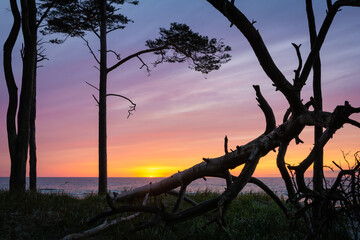 Sonnenuntergang am Ostsee Strand auf Fischland Darss Zingst