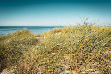 Ostsee Strand und Düne im Sommer