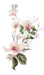 Watercolor arrangements with birds, owl, and magnolia blooming branches 