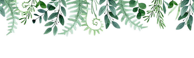 watercolor seamless border, frame. with forest leaves and herbs. simple abstract leaves of fern, eucalyptus, rosemary.