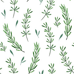 watercolor drawing. seamless pattern with leaves and branches of rosemary, lavender. print green rosemary leaves isolated on white background