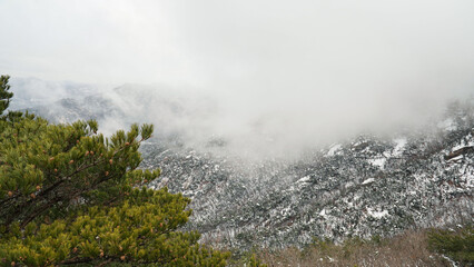 The snow, fog, and winter mountains on March 19th.