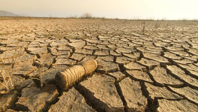 Climate Change and long term drought affect to water in lake dry. Lack a source of fresh water. Global warming and aquatic animal concept. time-lapse