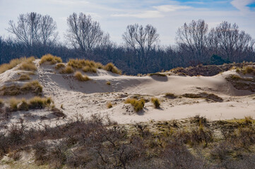 Dunes in Netherlands. Beautiful spring landscape.