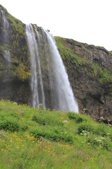 World famous Icelandic Seljalandsfoss waterfall with its characteristic veil (vertical), Seljalandsfoss, Iceland