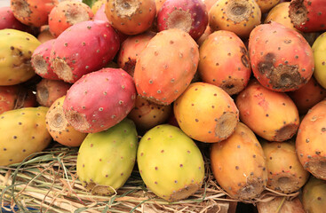 Pile of Ripe Prickly Pear Cactus Fruits (Opuntia Ficus-indica) For Sale at Market Stall in Peru,...