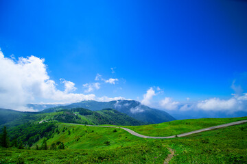 美ヶ原ワインディングロード