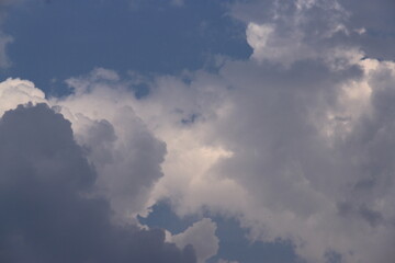 Naklejka na ściany i meble white and grey clouds in the sky