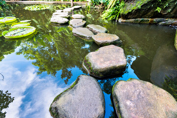 Stepping stones path over a pond